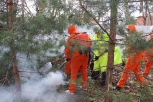 ��� ����: ���� ������� ����� ����� ��� ������ �� ����