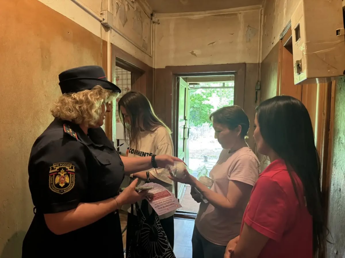 МОО ВДПО: Когда секунда решает всё: в Раменском семьям дарят пожарные извещатели